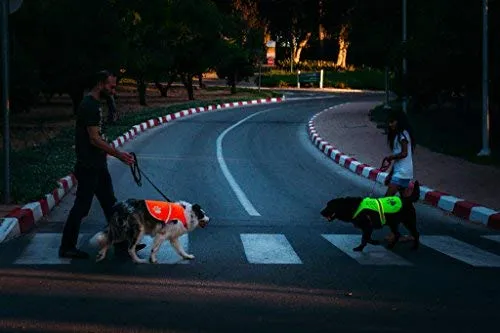 Chaleco reflectante de seguridad para perros, 5 tamaños para adaptarse a perros de 10 libras – 130 libras: alta visibilidad para actividades al aire libre día y noche, mantiene a tu perro visible, seguro de coches y accidentes de caza | Blaze Orange chale