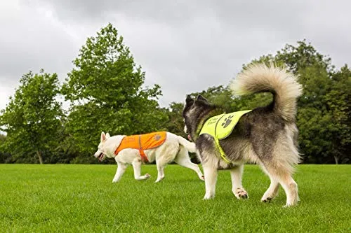 Chaleco reflectante de seguridad para perros, 5 tamaños para adaptarse a perros de 10 libras – 130 libras: alta visibilidad para actividades al aire libre día y noche, mantiene a tu perro visible, seguro de coches y accidentes de caza | Blaze Orange chale