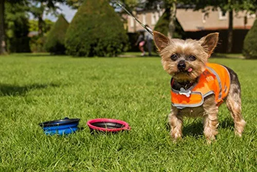 Chaleco reflectante de seguridad para perros, 5 tamaños para adaptarse a perros de 10 libras – 130 libras: alta visibilidad para actividades al aire libre día y noche, mantiene a tu perro visible, seguro de coches y accidentes de caza | Blaze Orange chale