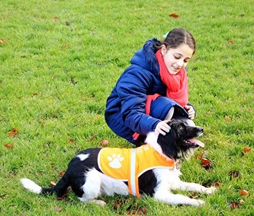 Chaleco reflectante de seguridad para perros, 5 tamaños para adaptarse a perros de 10 libras – 130 libras: alta visibilidad para actividades al aire libre día y noche, mantiene a tu perro visible, seguro de coches y accidentes de caza | Blaze Orange chale