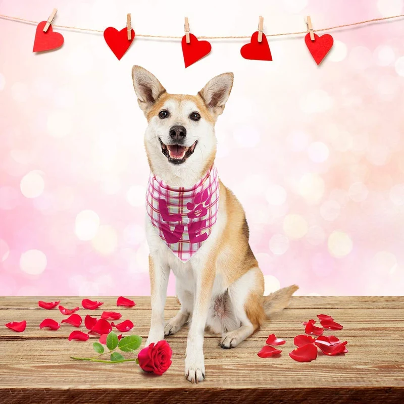 SCENEREAL Dog Bandanas Valentine's Day 2 Pack - Cute Triangle Scarf Pet Holiday Costume, Red Heart and Pink Plaid with Love Design for Dogs