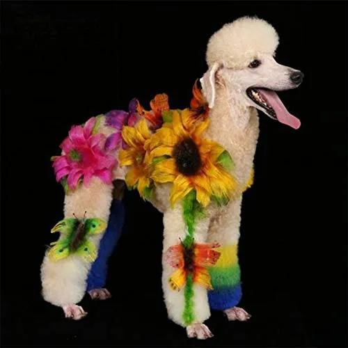 Gel tinte para pelo de perro: tonalidad brillante y divertida, semipermanente, completamente no tóxico y seguro.