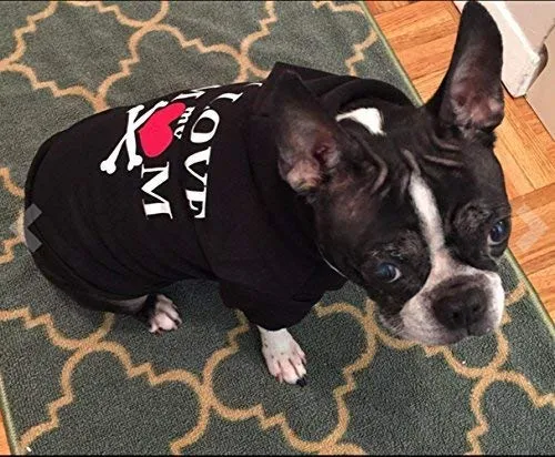 EXPAWLORER - Sudadera con capucha para perro, color negro