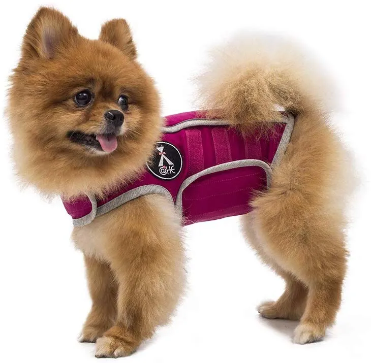 Chaleco de alivio de la ansiedad para perro, chaleco calmante para perros, chamarra ajustable para perros XS S M L XL