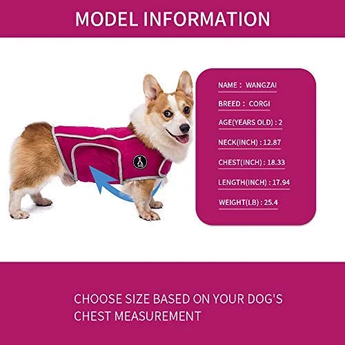 Chaleco de alivio de la ansiedad para perro, chaleco calmante para perros, chamarra ajustable para perros XS S M L XL