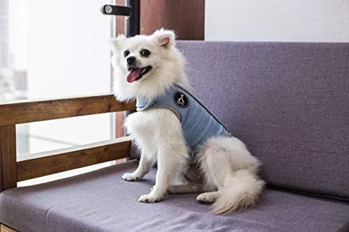 Chaleco de alivio de la ansiedad para perro, chaleco calmante para perros, chamarra ajustable para perros XS S M L XL