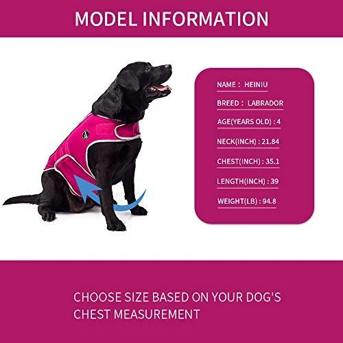 Chaleco de alivio de la ansiedad para perro, chaleco calmante para perros, chamarra ajustable para perros XS S M L XL