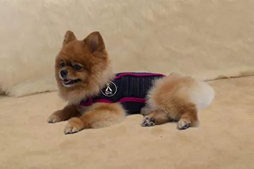 Chaleco de alivio de la ansiedad para perro, chaleco calmante para perros, chamarra ajustable para perros XS S M L XL