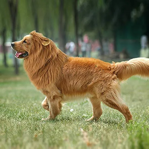 LCFUN Disfraz de melena de león para gato y perro, peluca de mascota para fiesta de Halloween