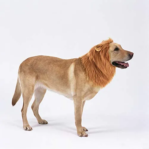 LCFUN Disfraz de melena de león para gato y perro, peluca de mascota para fiesta de Halloween
