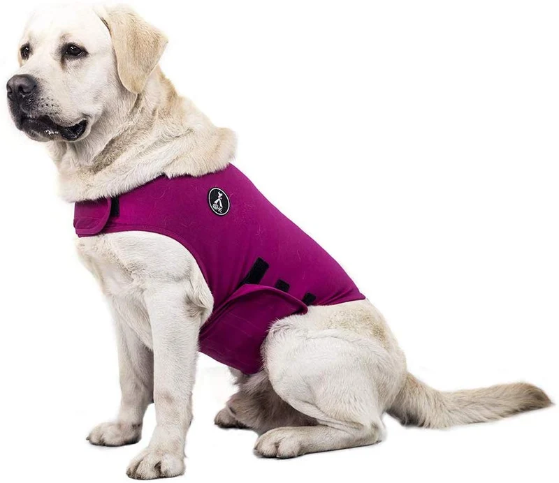 X@HE - Chaleco de alivio de ansiedad para perro, chaleco para mantener la comodidad, chaleco para perros de talla XS, M, L, XL, azul marino, gris, rosa, rojo y camuflaje