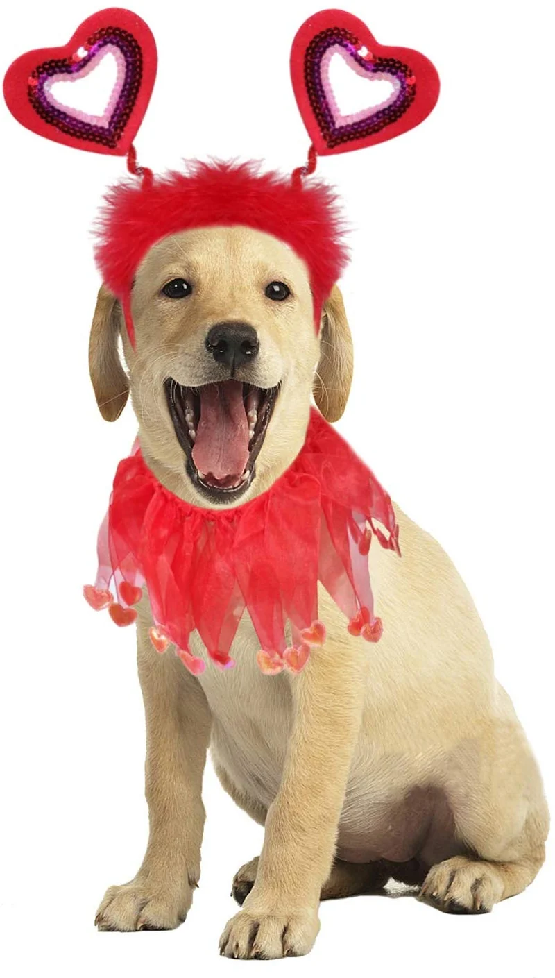 BWOGUE Valentine's Day Dog Costume Red Love Hearts Dog Headband with Collar Holiday Birthday Party Headwear Costume Gift for Small Medium Dogs