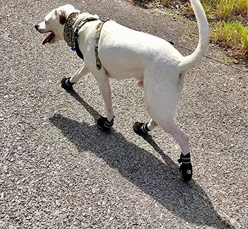 EXPAWLORER botas a prueba de agua, para perro, antiderrapantes, refractantes, botines de mascotas para perros medianos, perros grandes, negro, 4 piezas