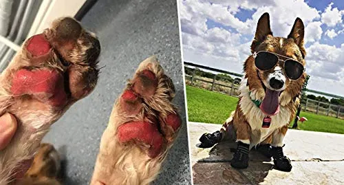 EXPAWLORER botas a prueba de agua, para perro, antiderrapantes, refractantes, botines de mascotas para perros medianos, perros grandes, negro, 4 piezas