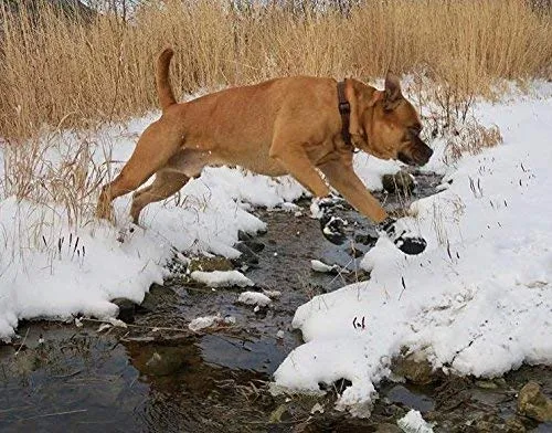 EXPAWLORER botas a prueba de agua, para perro, antiderrapantes, refractantes, botines de mascotas para perros medianos, perros grandes, negro, 4 piezas