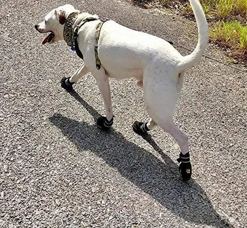 EXPAWLORER botas a prueba de agua, para perro, antiderrapantes, refractantes, botines de mascotas para perros medianos, perros grandes, negro, 4 piezas