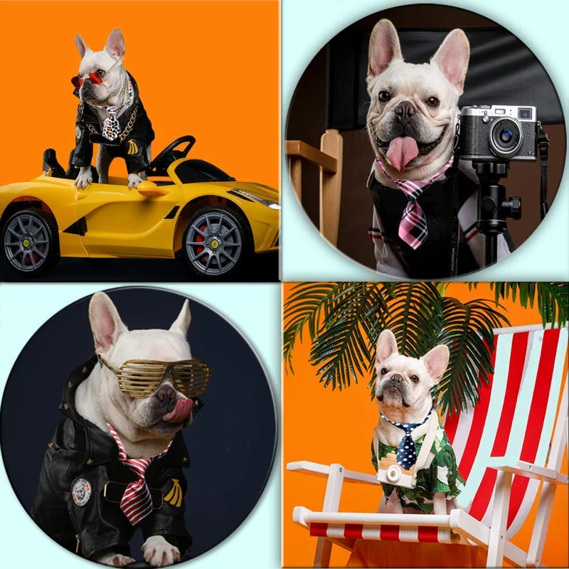 Corbata de perro pequeño para mascotas Victorshunshun tfd001 2019 nuevo diseño para perros gatos y cualquier mascota pequeña, incluye 30 unidades diferentes estilos de hermosos lazos para gatos y perros