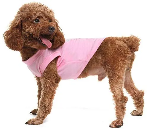 Expawlorer, Playera para mascota "Prince" tamaño pequeño, Ropa para chihuahuas, yorkshires, terrier