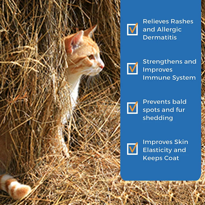 BestLife4Pets Alivio saludable de la piel y alergias para gatos – Suplemento natural para aliviar y tratar las alergias de las mascotas – Fortalece y mejora el sistema inmunológico – Previene el picor, la infección y la pérdida de pelo