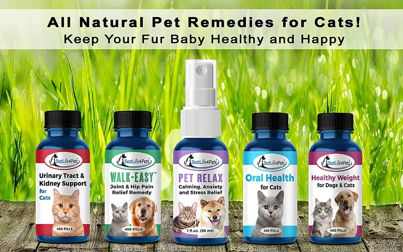 BestLife4Pets Alivio saludable de la piel y alergias para gatos – Suplemento natural para aliviar y tratar las alergias de las mascotas – Fortalece y mejora el sistema inmunológico – Previene el picor, la infección y la pérdida de pelo