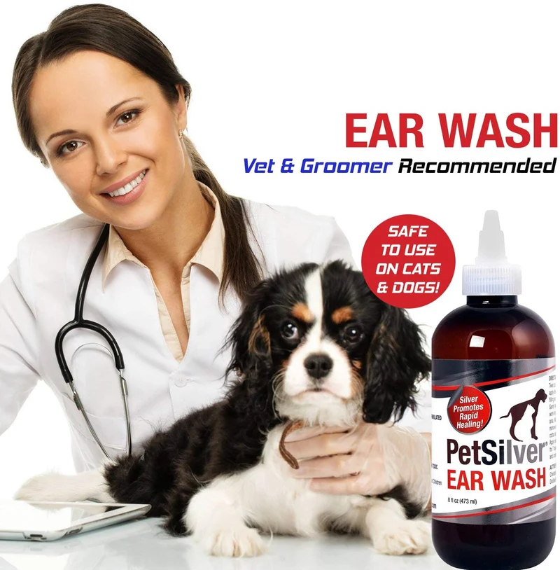 petsilver Ear Wash (8oz) con chelated Plata. Mata el 99,9% de las bacterias