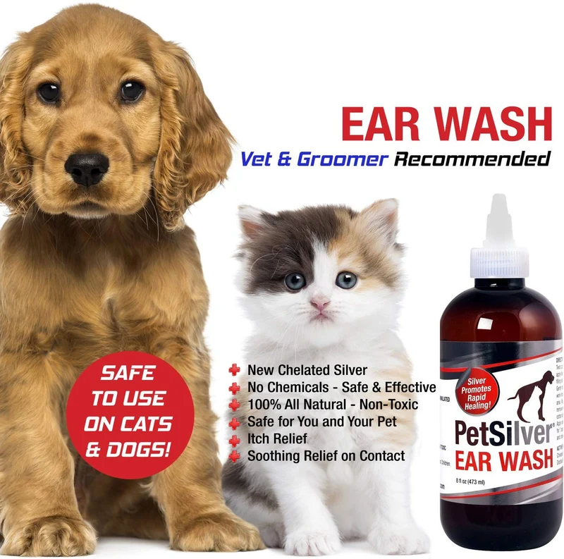 petsilver Ear Wash (8oz) con chelated Plata. Mata el 99,9% de las bacterias