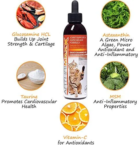 ArthriMAXX Joint Supplement and Wellness Support for Dogs and Cats