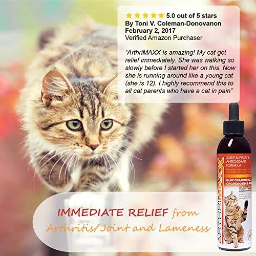 ArthriMAXX Joint Supplement and Wellness Support for Dogs and Cats