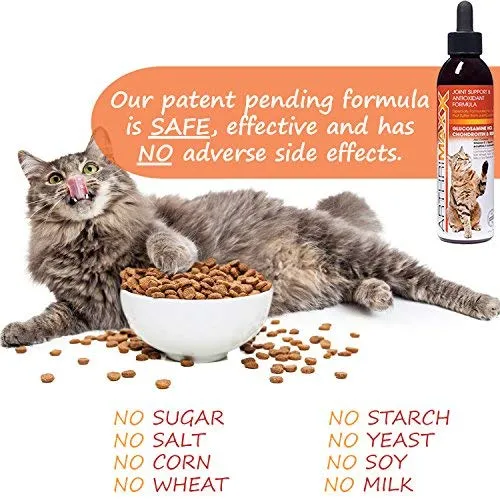 ArthriMAXX Joint Supplement and Wellness Support for Dogs and Cats