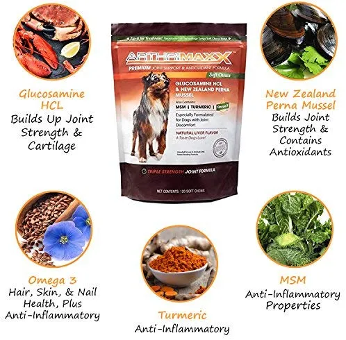 ArthriMAXX Joint Supplement and Wellness Support for Dogs and Cats