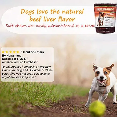 ArthriMAXX Joint Supplement and Wellness Support for Dogs and Cats