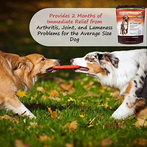 ArthriMAXX Joint Supplement and Wellness Support for Dogs and Cats
