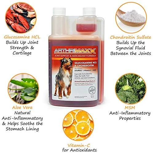 ArthriMAXX Joint Supplement and Wellness Support for Dogs and Cats