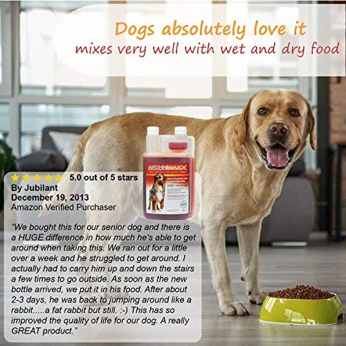 ArthriMAXX Joint Supplement and Wellness Support for Dogs and Cats