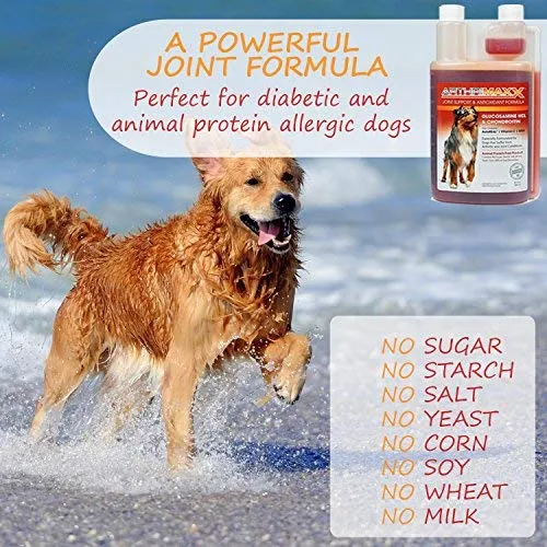 ArthriMAXX Joint Supplement and Wellness Support for Dogs and Cats
