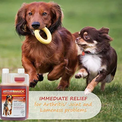 ArthriMAXX Joint Supplement and Wellness Support for Dogs and Cats