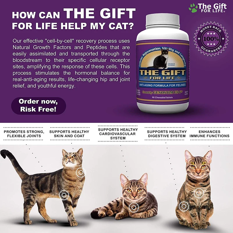 El regalo para la vida para gatos – The Fountain of Youth para Pets – 60 Gourmet Chewable Treats – fabricado en los Estados Unidos