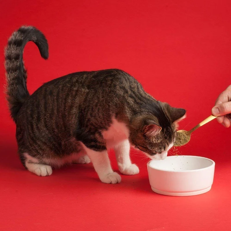 The Missing Link La fórmula original Ultimate Feline para gatos con Omega 3 y 6 onzas equilibradas, Paquete de 2