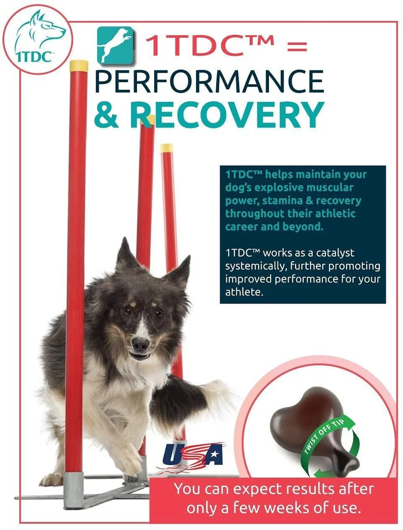 1-tdc "Nueva Twist Off Dual Action Natural apoyo para periodontal & conjunta de salud en perros & gatos | profesionalmente formulado Total Wellness Fórmula con 1-tetradecanol Complejo