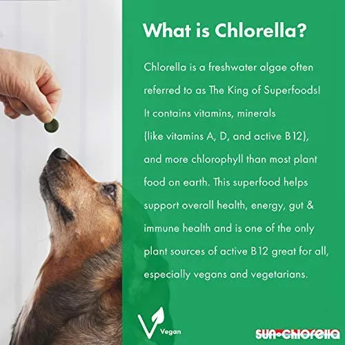 Sun chlorella- rejuv-a-wafers- Chlorella & Eleuthero Superfood Suplemento para perros y gatos (60 Obleas)