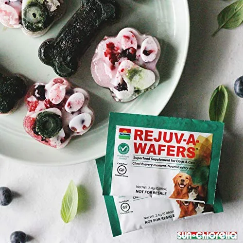Sun chlorella- rejuv-a-wafers- Chlorella & Eleuthero Superfood Suplemento para perros y gatos (60 Obleas)