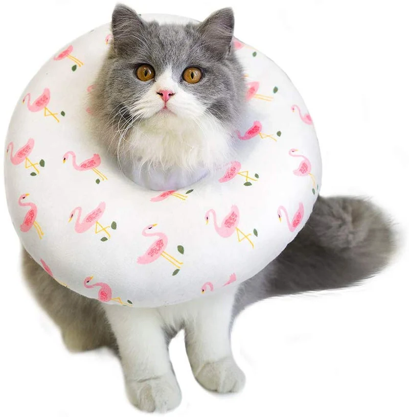Petseek Collar de recuperación de cono para gato, pequeño, para perro, poste de cirugía, suave, ajustable, collar electrónico para perros y gatos