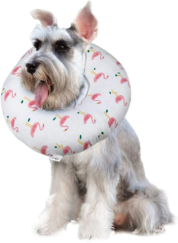 Petseek Collar de recuperación de cono para gato, pequeño, para perro, poste de cirugía, suave, ajustable, collar electrónico para perros y gatos