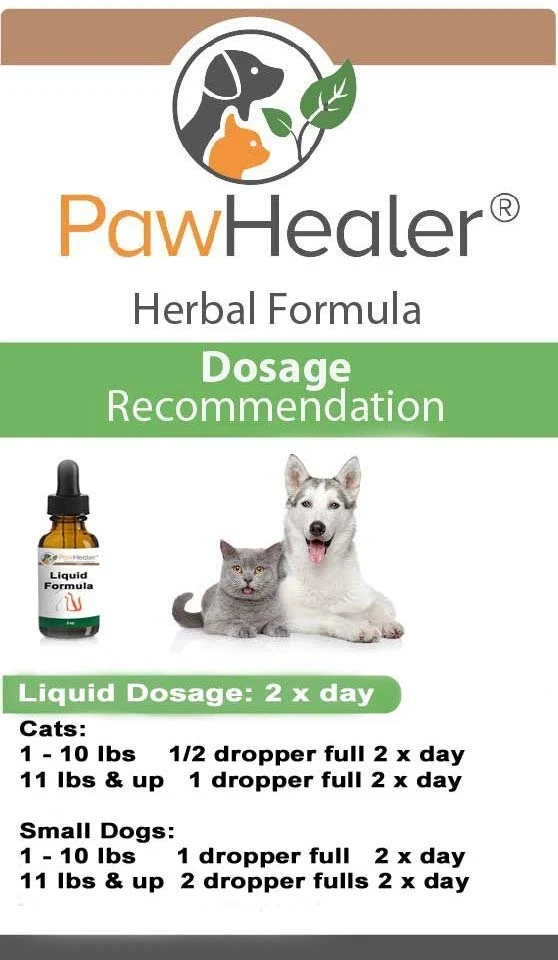 Gato vejiga Remedio para piedras y cristales: 2 FL OZ. – Urinario última intervensión el flujo – Básico – funciona muy bien. ...