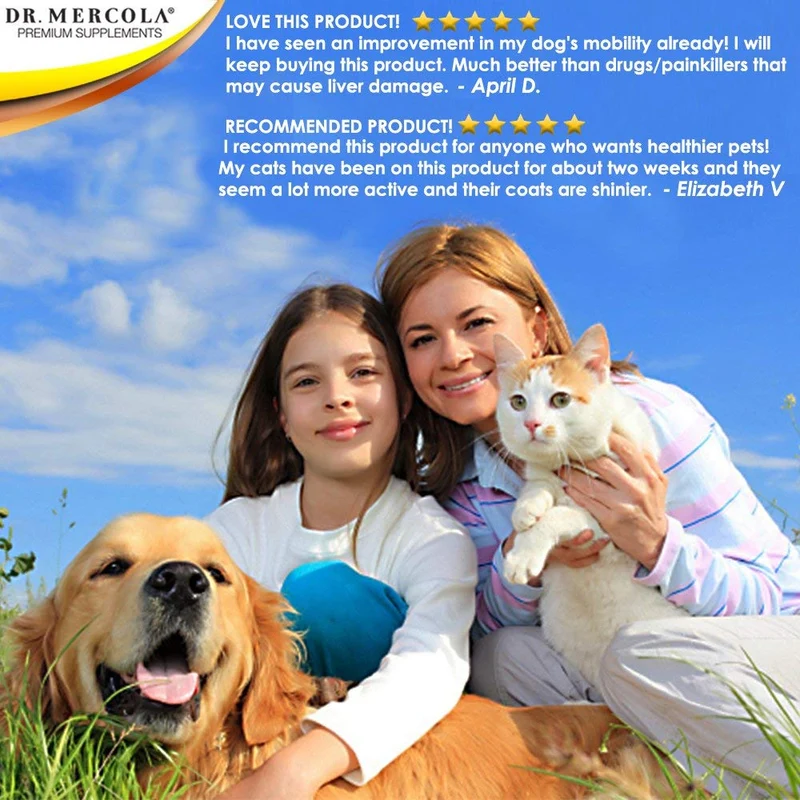 Dr. Mercola Curcumin para mascotas – con Curcumin MICROACTIVE de Cúrcuma – Sistema Inmune Booster para perros & gatos – PREMIUM mascota Suplementos