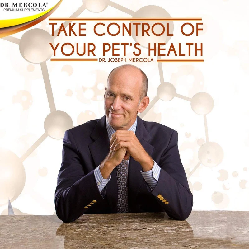 Dr. Mercola Curcumin para mascotas – con Curcumin MICROACTIVE de Cúrcuma – Sistema Inmune Booster para perros & gatos – PREMIUM mascota Suplementos