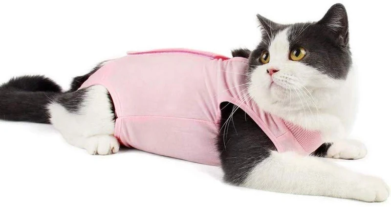 Coppthinktu - Traje de recuperación de gatos para heridas abdominales o enfermedades de la piel, transpirable E-Collar Alternativa para gatos y perros, después de cirugía desgaste anti lamer heridas