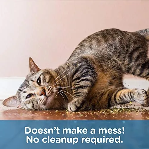 Mascota MasterMind Cat Spray