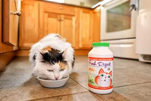 En Clover – Fresco Resumen Daily las enzimas digestivas & prebióticos para gatos
