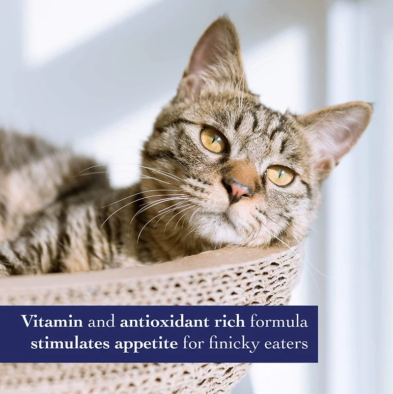 synergylabs Organics Pasta de nutrientes para gatos de Richard; 4,25 oz.